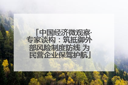 中国经济微观察·专家谈构：筑抵御外部风险制度防线 为民营企业保驾护航
